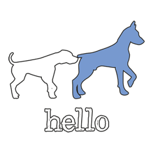 HELLO DOGS