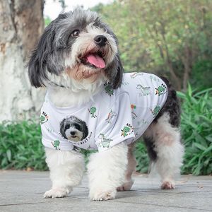 PET T-SHIRTS