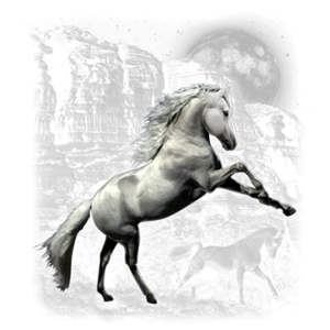 WHITE HORSE WILDERNESS