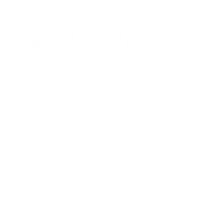 CA REPUBLIC BEAR GOLDEN STATE