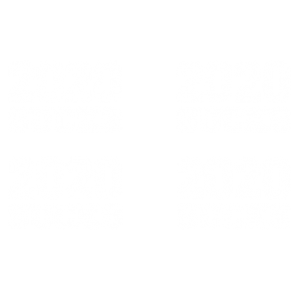 2020 SUCKS -MASK