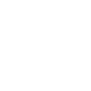 TAKE ME HOME COUNTRY ROADS