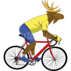 MOOSE RIDING A BICYCLE