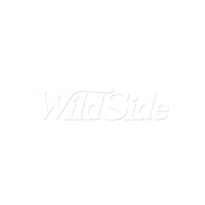 COLD BEERS AND LIBERAL TEARS