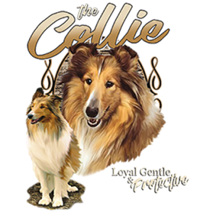 THE COLLIE