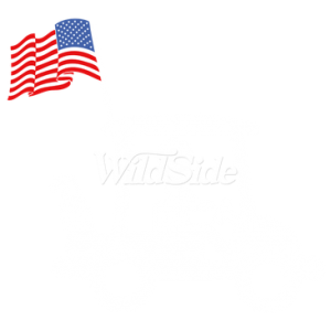 GOLF CART WITH US FLAG IN BACK