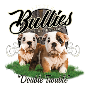 Bulldog Dog Humor T Shirt HEAT PRESS TRANSFER for T Shirt Sweatshirt Fabric #821 