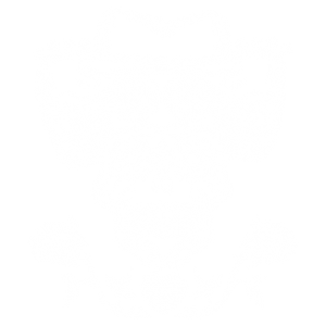DOD SKULL WITH COWBOY HAT