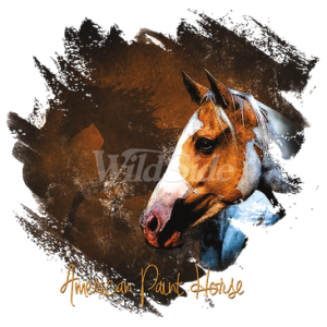 AMERICAN PAINTED HORSE