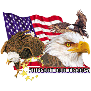 SUPPORT OUR TROOPS-EAGLE  41