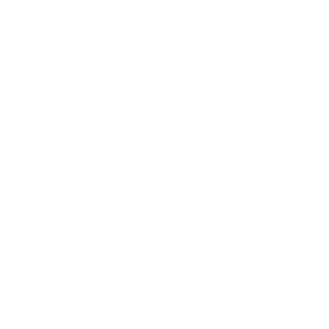 PAISLEY DAY OF THE DEAD SKULL