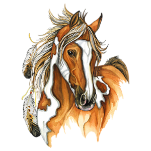 INDIAN HORSE      20