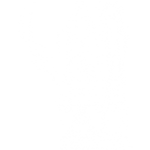 ARROWHEAD DEER