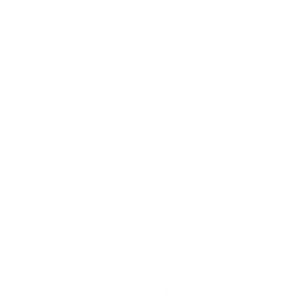 BICYCLES FUN BETWEEN YOUR LEGS