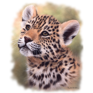 JAGUAR CUB PORTRAIT