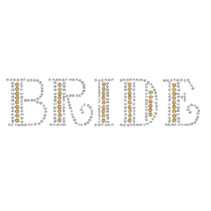 BRIDE RHINESTUD