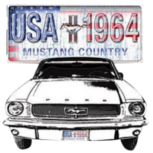 FORD MUSTANG COUNTRY    18