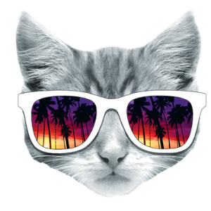KITTY W/SUN GLASSES