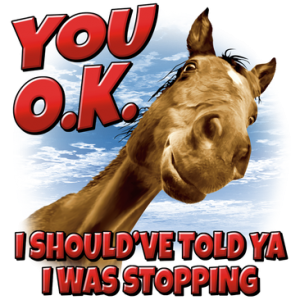 YOU O.K. HORSE