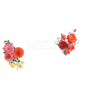 DREAM BIG PRAY BIGGER FLOWERS