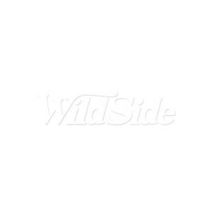 SOLDIERS LIFE - DEFENDING YOUR