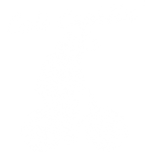 CALI COASTIN' BEAR ON BIKE