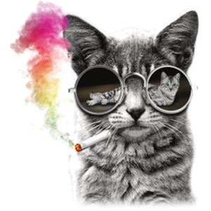 RAINBOW SMOKE CAT W/ GLASSES