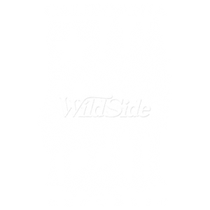 CALI REPUBLIC BEAR STAR TREES