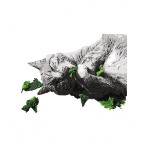 TALK TO YOUR CAT ABOUT CATNIP
