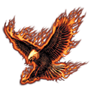 FLYING FIRE EAGLE