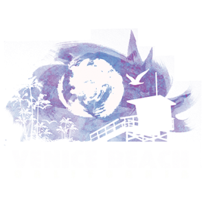 VENICE BEACH CALIF. AT NIGHT