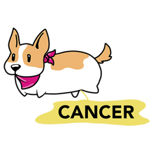 DOG WHIZ ON CANCER