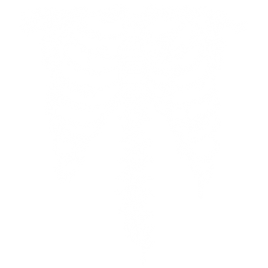 RIBCAGE - FRONT - WHITE INK