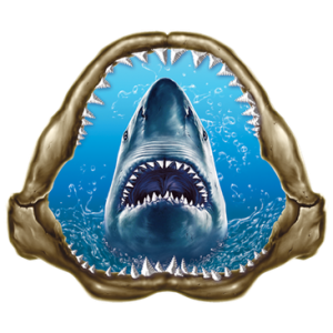 WHITE SHARK JAWS (A)