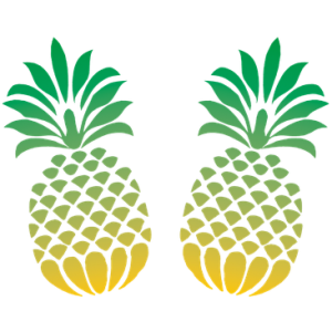 TWO PINEAPPLES (NEON)