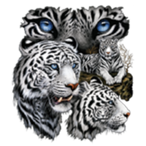 WHITE TIGERS