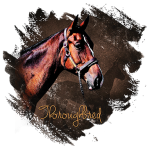 THOROUGHBRED HORSE