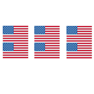 USA FLAG GANG SHEET (6pcs)