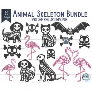 Animal Skeleton Bundle Cut File