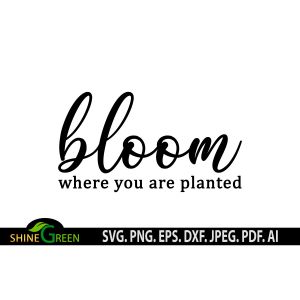 Bloom Where You Are Planted Farmhouse Sign Cut File