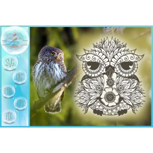 Owl Mandala Zentangle SVG | Owl SVG | Mandala SVG Cut File