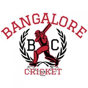 Cricket 13 Template