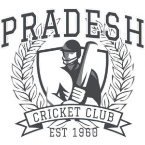 Cricket 15 Template