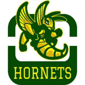 Hornets 1 Template