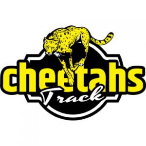 Cheetahs Template