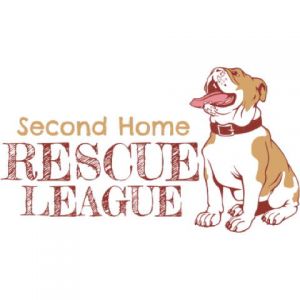Rescue League 1 Template