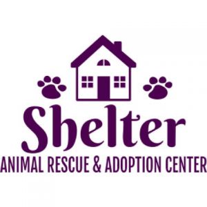 Animal Adoption Center Template