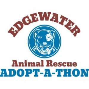 Animal Adoption 1 Template