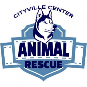 Animal Rescue 2 Template