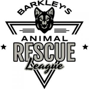 Rescue League 2 Template